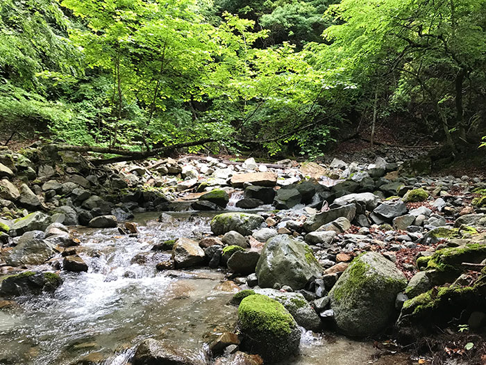 ADAMSホームページ：渓流遡行ガイド・神奈川県西部 世附川