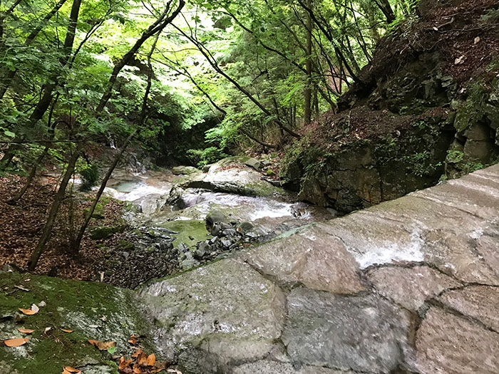 ADAMSホームページ：渓流遡行ガイド・神奈川県西部 世附川