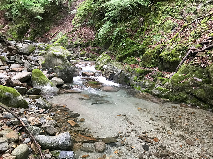 ADAMSホームページ：渓流遡行ガイド・神奈川県西部 世附川