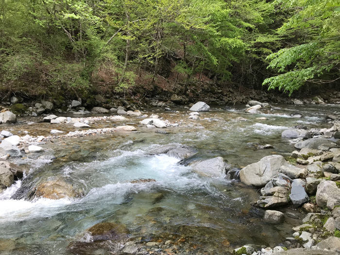 ADAMSホームページ：渓流遡行ガイド・神奈川県西部 世附川・大又沢