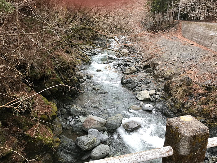 ADAMSホームページ：渓流遡行ガイド・神奈川県西部 世附川・土沢