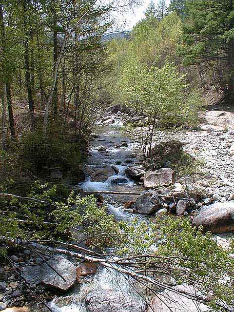 ADAMSホームページ：渓流遡行ガイド 長野県川上地区 梓川