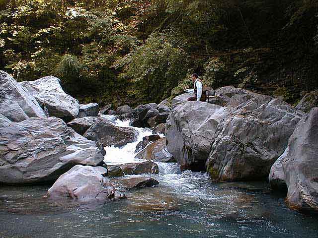 フライフィッシングレポートサイト「ADAMS」 - 渓流遡行ガイド