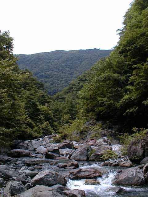 フライフィッシングレポートサイト「ADAMS」 - 渓流遡行ガイド